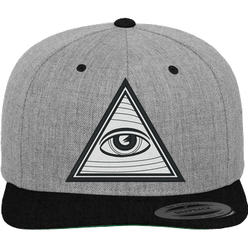 Illuminati Confirmed Cap Cap heather grey/black