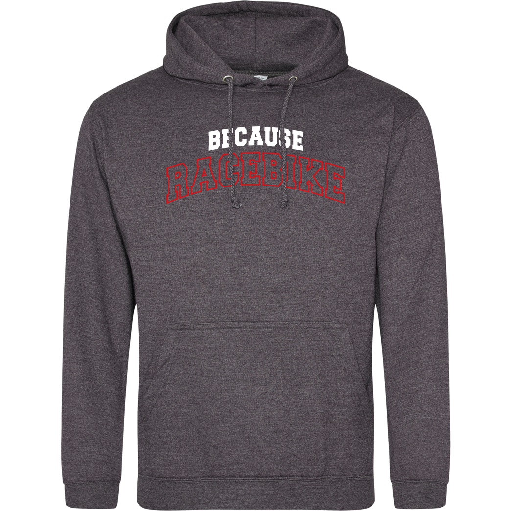 Slaty Slaty - College Logo Sweatshirt JH Hoodie - Dark heather grey